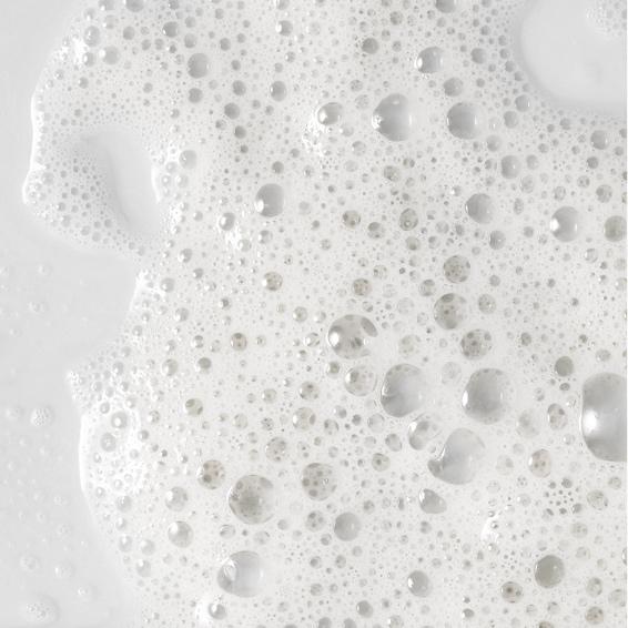 BB Extraction Only Facial